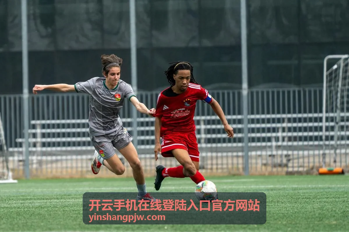 开云手机在线登陆入口平台资讯